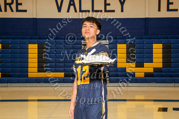 DVH_lc-b-v-t_11