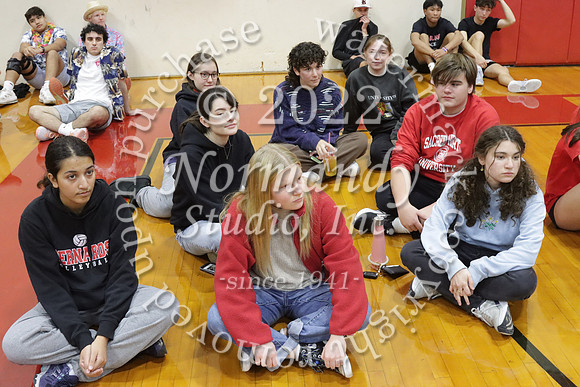 BER_dodgeball_008