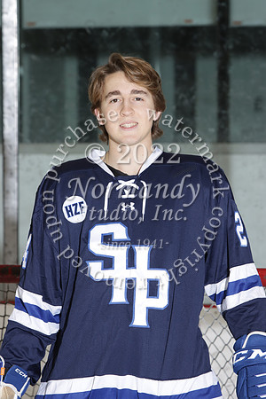 SHP_ih-srs-ind_03