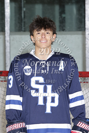 SHP_ih-srs-ind_01