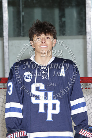 SHP_ih-srs-ind_02
