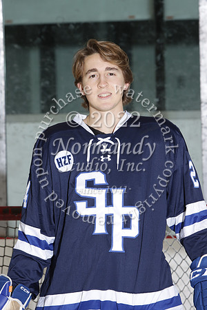 SHP_ih-srs-ind_04