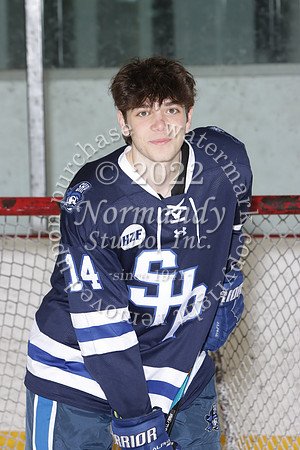 SHP_ih-srs-ind_05