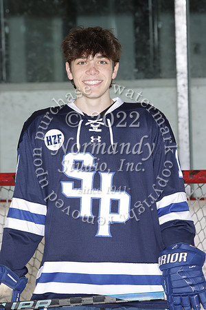 SHP_ih-srs-ind_06