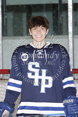 SHP_ih-srs-ind_07