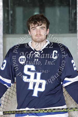 SHP_ih-srs-ind_10
