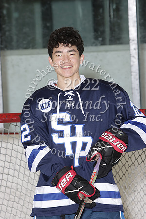 SHP_ih-srs-ind_22