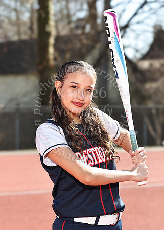 DHS_sb-ind_04