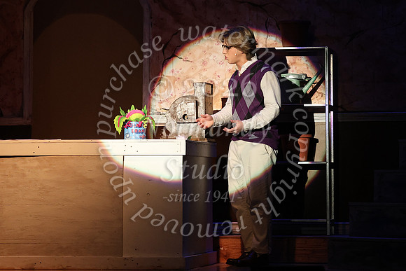 ALJ_musical_29