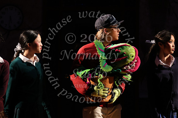 ALJ_musical_36