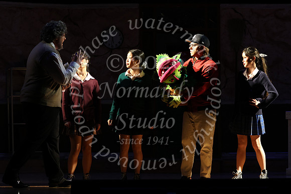 ALJ_musical_37
