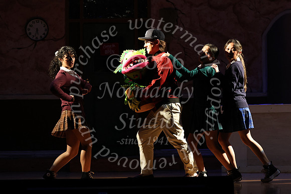 ALJ_musical_41