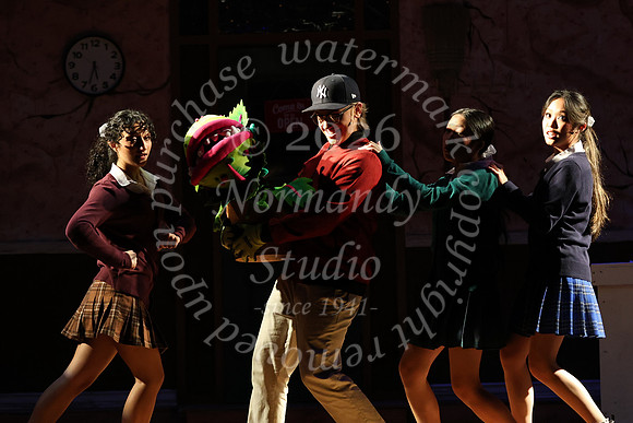 ALJ_musical_42