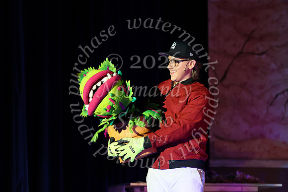 ALJ_musical_50