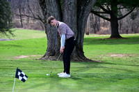 DVH_go_20
