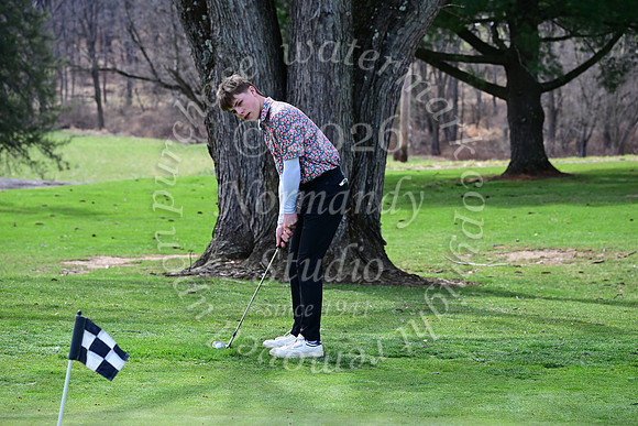 DVH_go_20