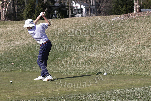 SHP_go_15