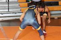 SVL_wr-j_19