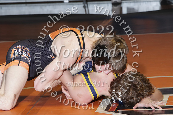 SVL_wr-v_050