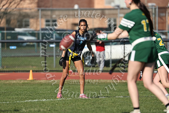 FTH_flag_fb_67