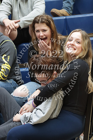 DVH_fans_04