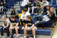 DVH_fans_02