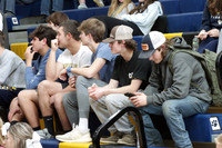 DVH_fans_06
