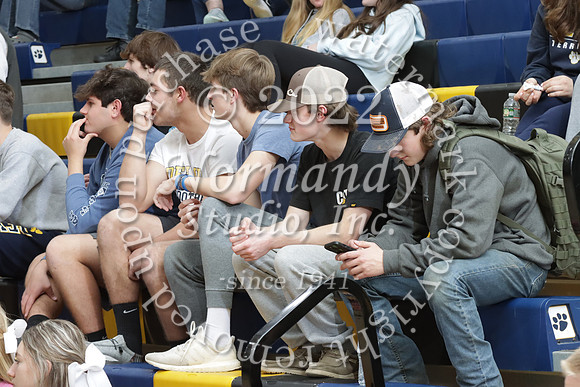 DVH_fans_06