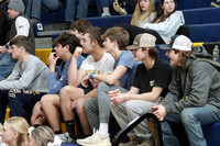 DVH_fans_07