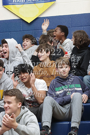 DVH_fans_09