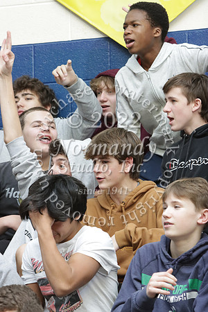 DVH_fans_15