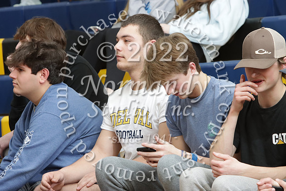 DVH_fans_22