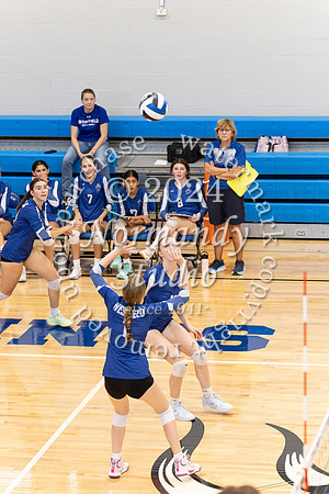 WHS_vb-g_65