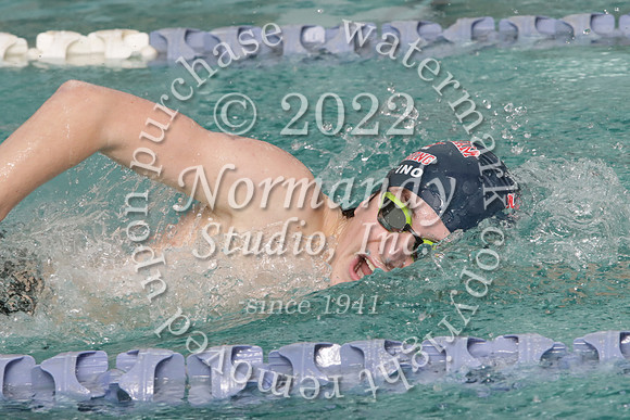 WMM_sw-b-g_69