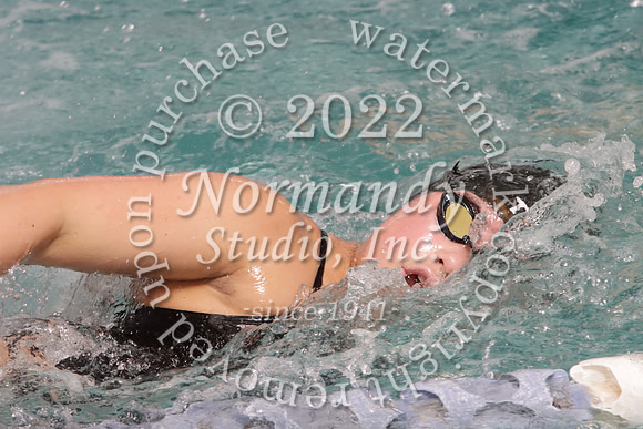 SVL_sw-g_03