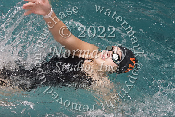 SVL_sw-g_13