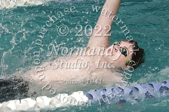 SVL_sw-b_22