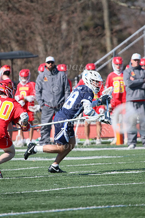 SHP_lc_jv_8