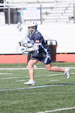 SHP_lc_jv_41