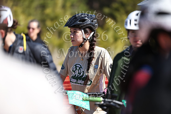 RAM_mt_bike_110