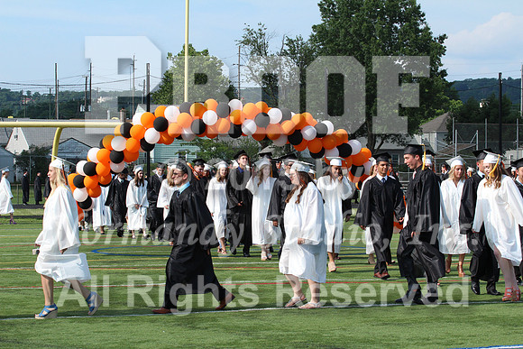 SVL_067_grad