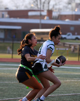 WTG_flag_fb_9