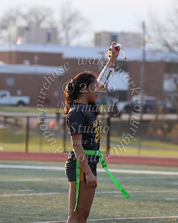 WTG_flag_fb_11