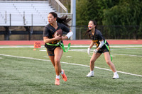 WTG_flag_fb_17