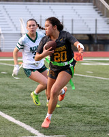 WTG_flag_fb_18