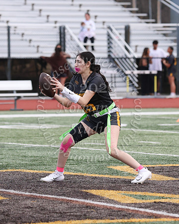 WTG_flag_fb_46