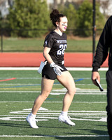 WHS_flag_fb-5