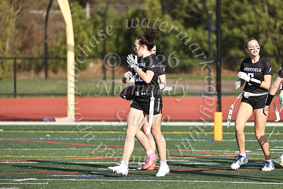 WHS_flag_fb-4