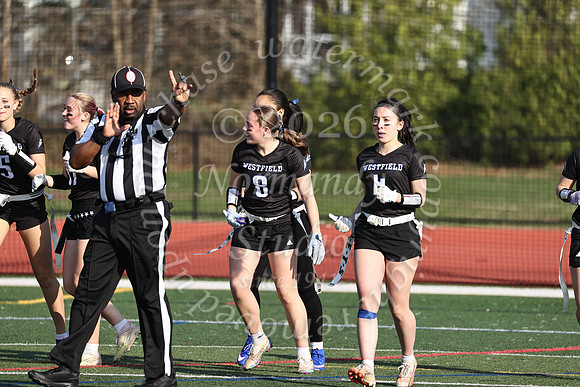 WHS_flag_fb-3