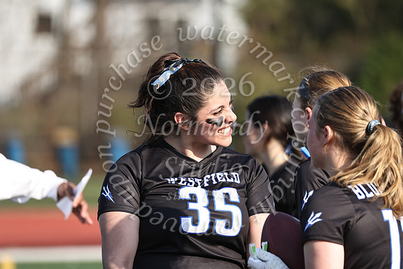 WHS_flag_fb-6